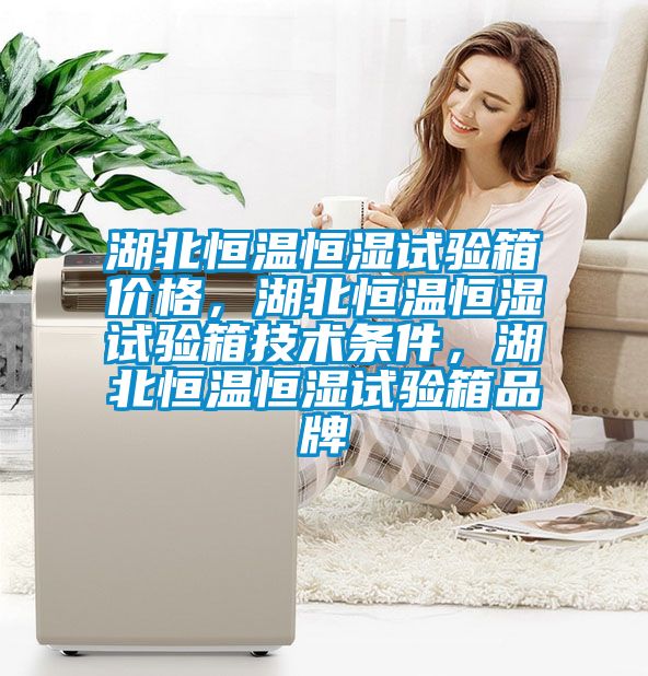 湖北恒溫恒濕試驗(yàn)箱價(jià)格,湖北恒溫恒濕試驗(yàn)箱技術(shù)條件,湖北恒溫恒濕試驗(yàn)箱品牌