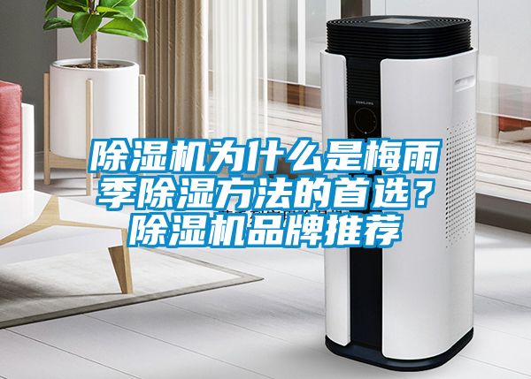 除濕機為什么是梅雨季除濕方法的首選?除濕機品牌推薦