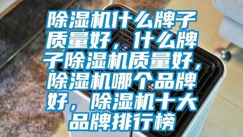 除濕機什么牌子質量好,什么牌子除濕機質量好,除濕機哪個品牌好,除濕機十大品牌排行榜