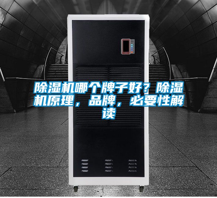 除濕機哪個牌子好？除濕機原理，品牌，必要性解讀