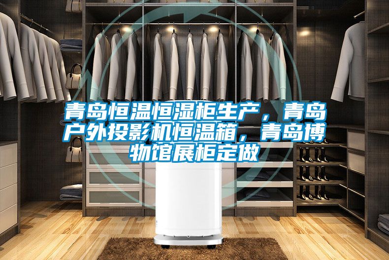青島恒溫恒濕柜生產，青島戶外投影機恒溫箱，青島博物館展柜定做