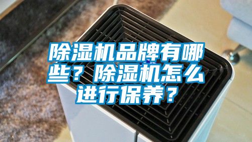 除濕機品牌有哪些?除濕機怎么進行保養?