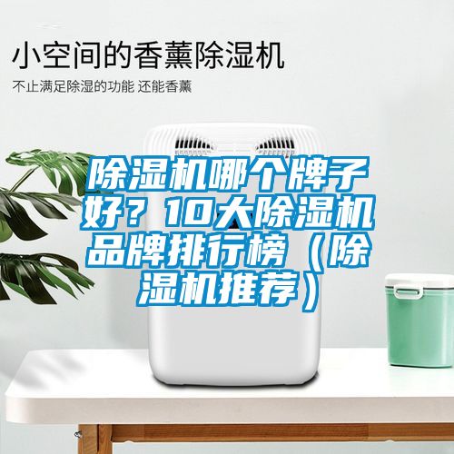 除濕機哪個牌子好?10大除濕機品牌排行榜(除濕機推薦)