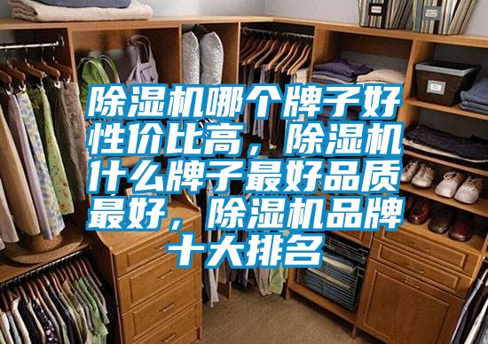 除濕機哪個牌子好性價比高,除濕機什么牌子最好品質最好,除濕機品牌十大排名