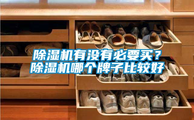除濕機有沒有必要買?除濕機哪個牌子比較好