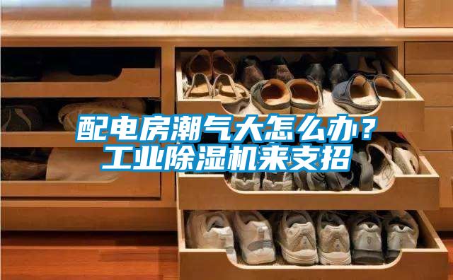 配電房潮氣大怎么辦？工業(yè)除濕機(jī)來支招