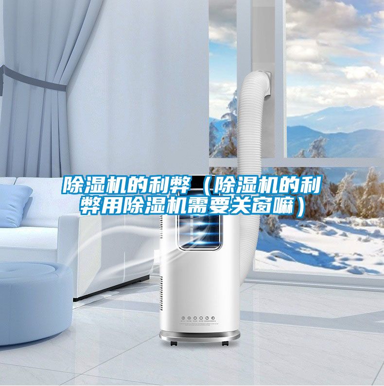 除濕機的利弊(除濕機的利弊用除濕機需要關窗嘛)