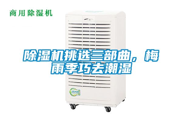 除濕機挑選三部曲,梅雨季巧去潮濕