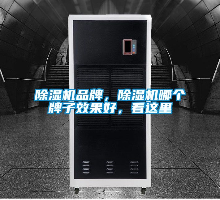 除濕機品牌,除濕機哪個牌子效果好,看這里
