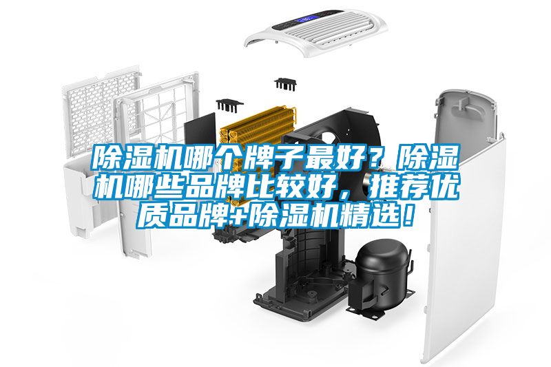 除濕機哪個牌子最好？除濕機哪些品牌比較好，推薦優質品牌+除濕機精選！