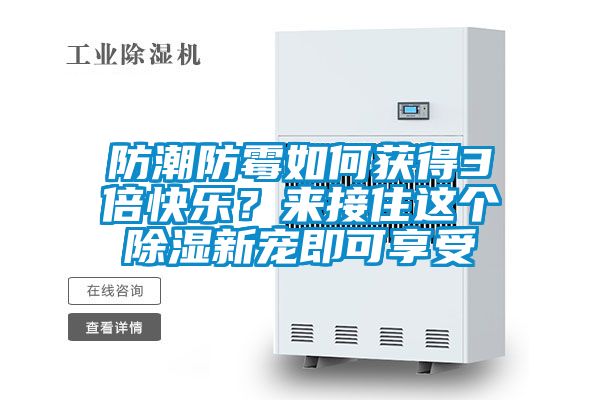 防潮防霉如何獲得3倍快樂？來接住這個除濕新寵即可享受