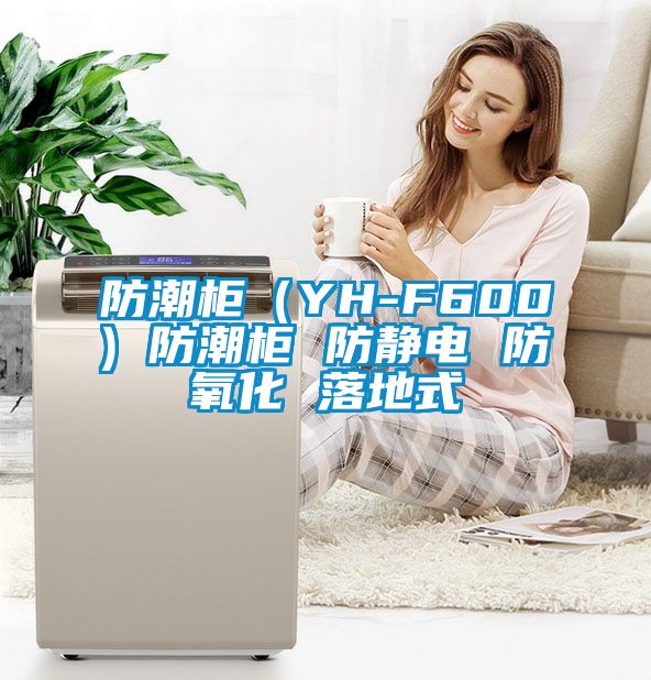 防潮柜(YH-F600) 防潮柜 防靜電 防氧化 落地式