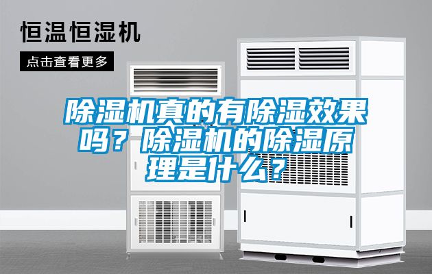 除濕機(jī)真的有除濕效果嗎?除濕機(jī)的除濕原理是什么?