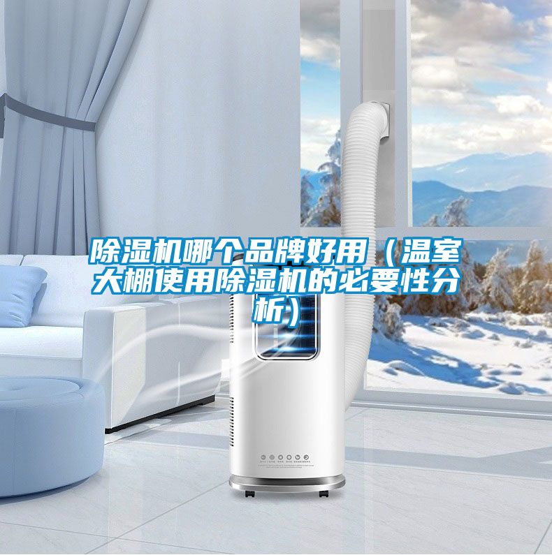 除濕機(jī)哪個(gè)品牌好用(溫室大棚使用除濕機(jī)的必要性分析)