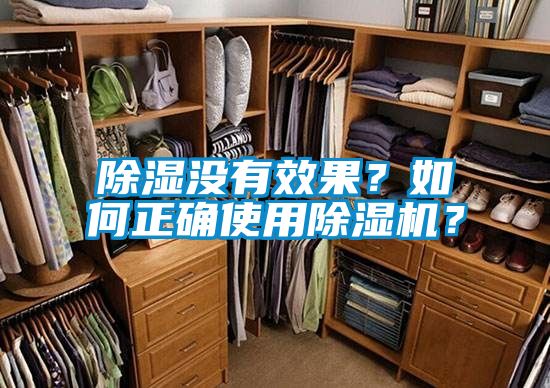 除濕沒有效果？如何正確使用除濕機？