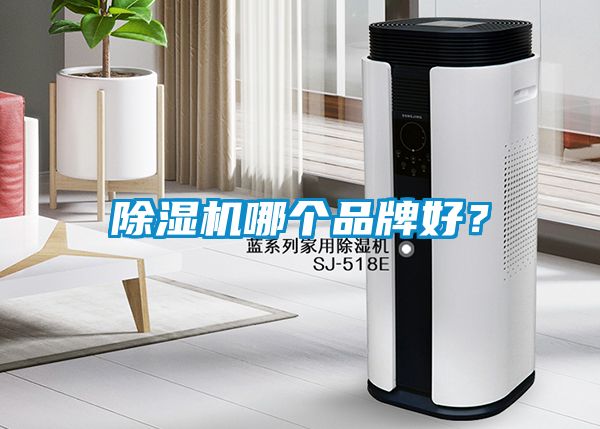 除濕機哪個品牌好?
