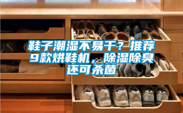 鞋子潮濕不易干?推薦9款烘鞋機,除濕除臭還可殺菌