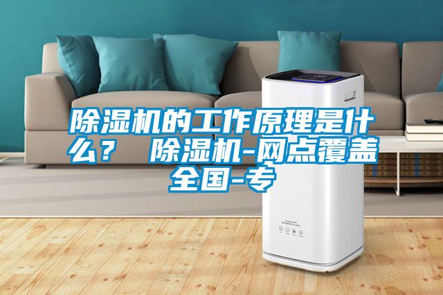 除濕機(jī)的工作原理是什么? 除濕機(jī)-網(wǎng)點(diǎn)覆蓋全國(guó)-專