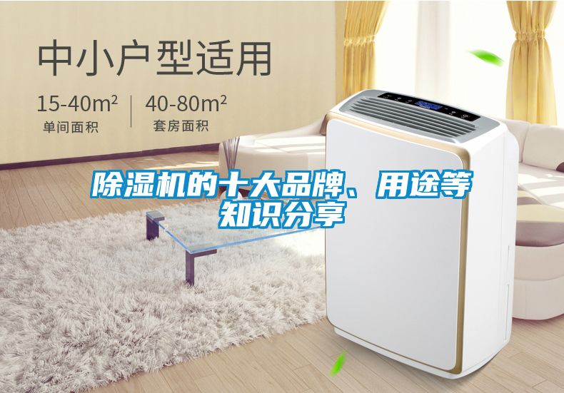 除濕機的十大品牌、用途等知識分享