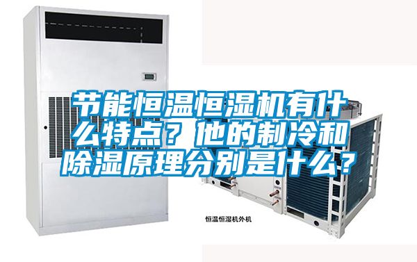 節能恒溫恒濕機有什么特點?他的制冷和除濕原理分別是什么?