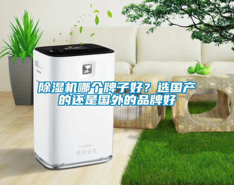 除濕機哪個牌子好？選國產的還是國外的品牌好