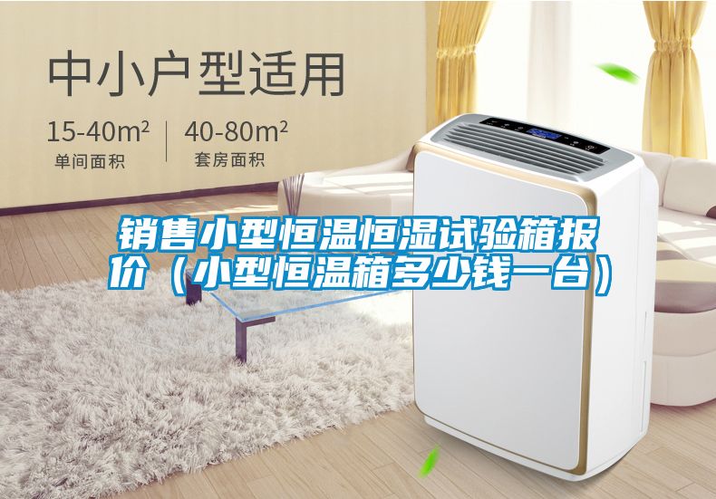 銷售小型恒溫恒濕試驗箱報價(小型恒溫箱多少錢一臺)
