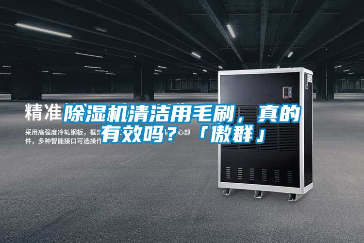 除濕機清潔用毛刷，真的有效嗎？「傲群」