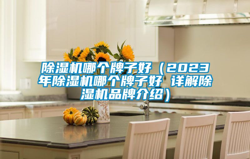 除濕機哪個牌子好(2023年除濕機哪個牌子好 詳解除濕機品牌介紹)