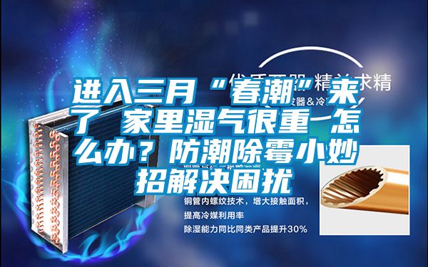 進入三月“春潮”來了 家里濕氣很重 怎么辦？防潮除霉小妙招解決困擾