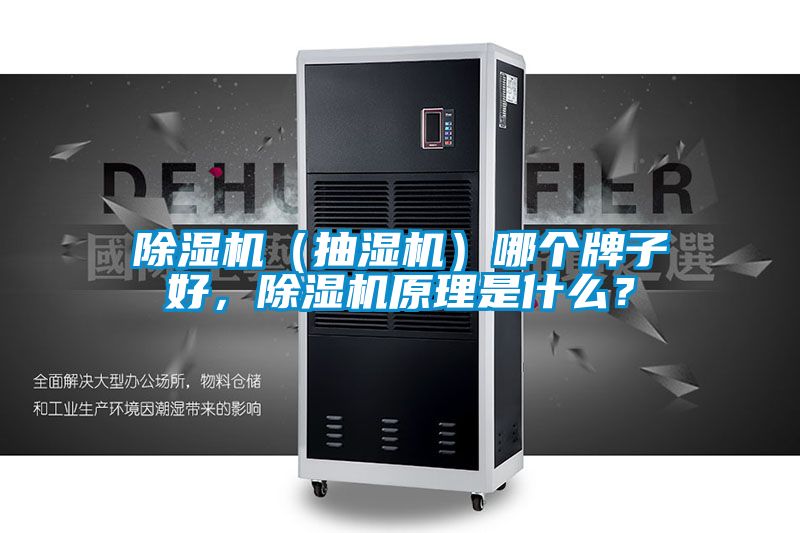 除濕機(抽濕機)哪個牌子好,除濕機原理是什么?