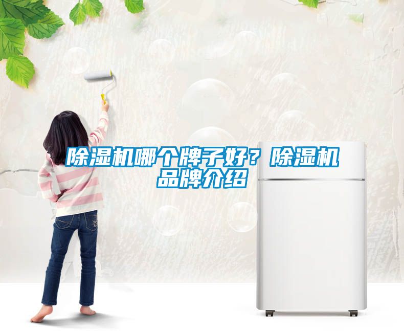 除濕機哪個牌子好？除濕機品牌介紹