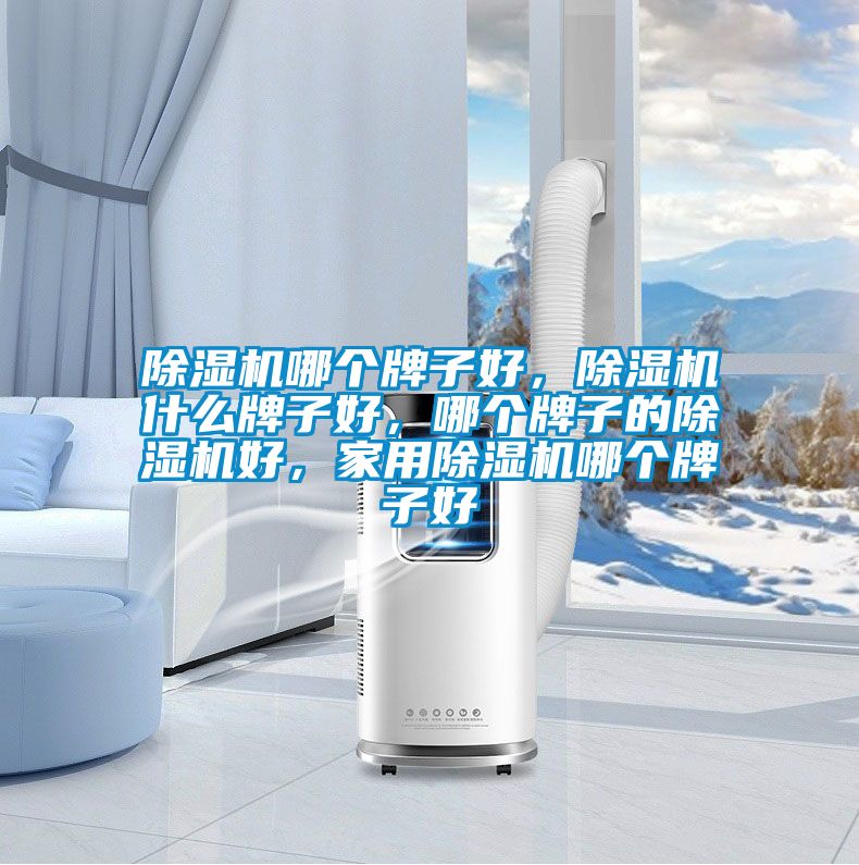 除濕機哪個牌子好，除濕機什么牌子好，哪個牌子的除濕機好，家用除濕機哪個牌子好