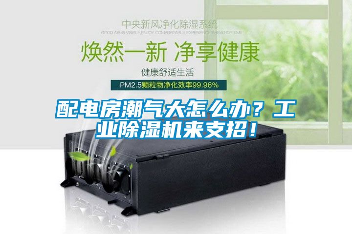 配電房潮氣大怎么辦?工業(yè)除濕機來支招!