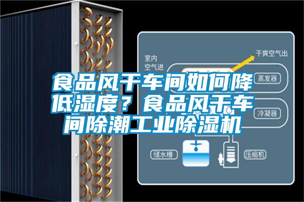 食品風干車間如何降低濕度?食品風干車間除潮工業除濕機