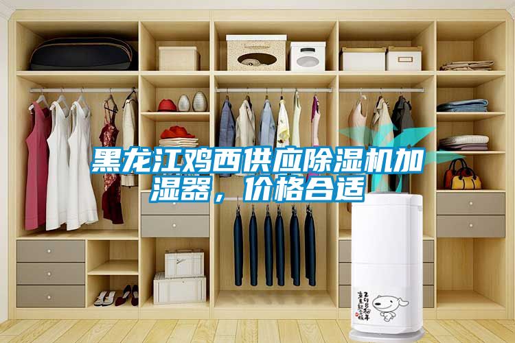黑龍江雞西供應(yīng)除濕機加濕器，價格合適