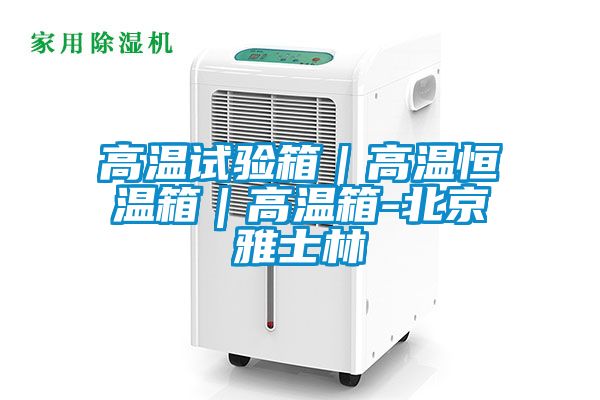 高溫試驗(yàn)箱|高溫恒溫箱|高溫箱-北京雅士林