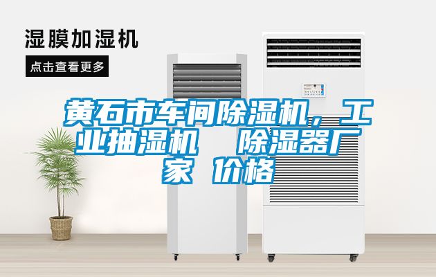 黃石市車間除濕機，工業(yè)抽濕機  除濕器廠家 價格