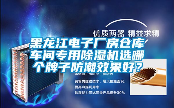 黑龍江電子廠房倉庫車間專用除濕機選哪個牌子防潮效果好？