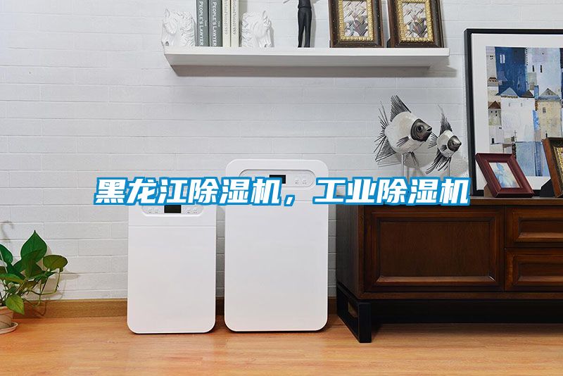 黑龍江除濕機,工業除濕機