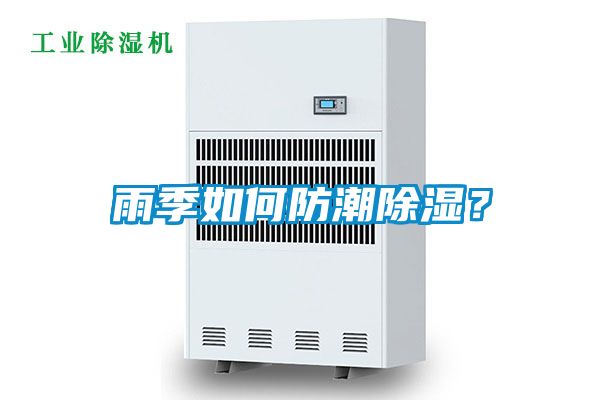 雨季如何防潮除濕?