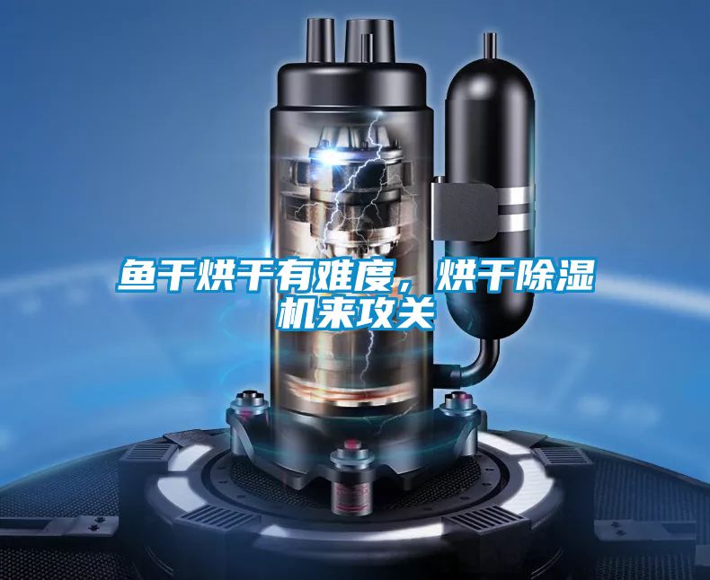 魚干烘干有難度,烘干除濕機來攻關(guān)