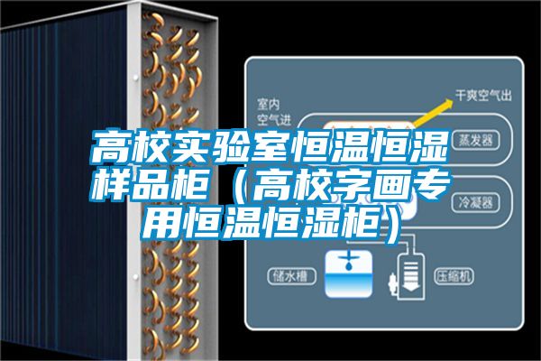 高校實(shí)驗(yàn)室恒溫恒濕樣品柜(高校字畫(huà)專(zhuān)用恒溫恒濕柜)